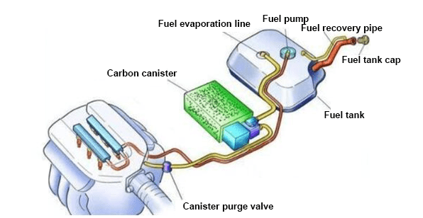 the location of the purge valve in an EVAP system in between the carbon canister and the engine